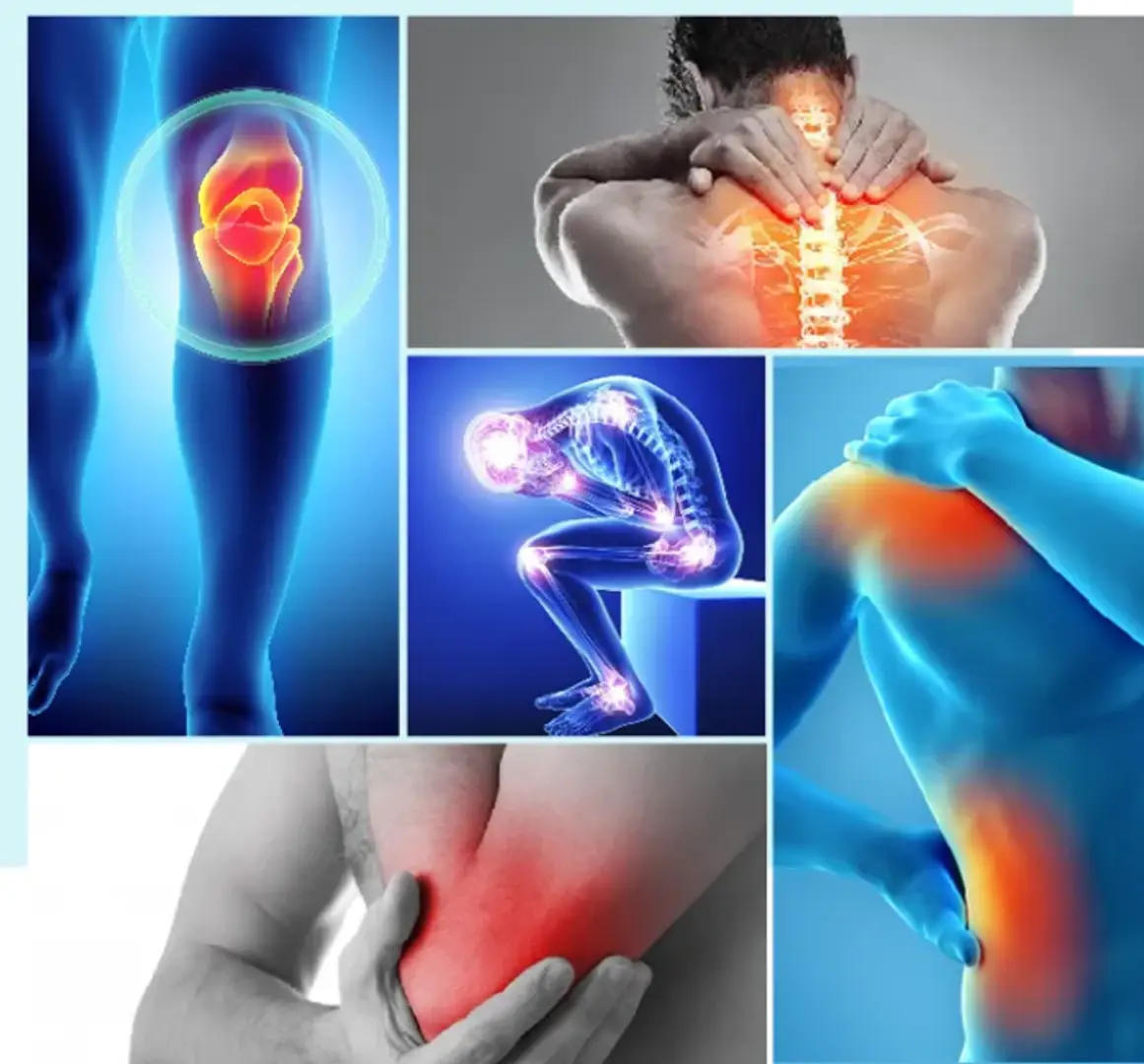 6811b2b416c0d9ad6585c63f